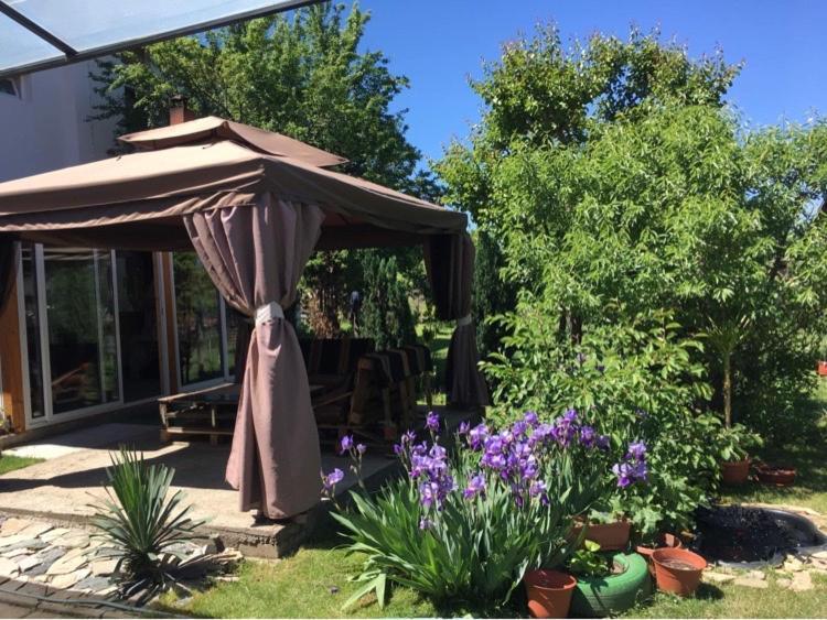 Къща Ивона Sapareva Banya Exterior foto